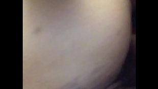 Bbc